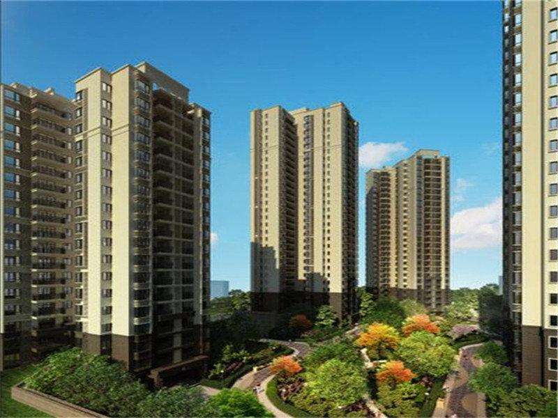 老高说的大实话,老高说房业绩