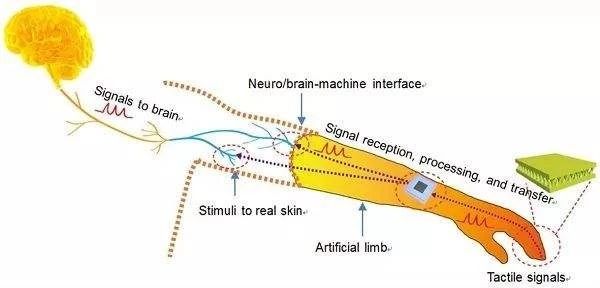 感觉统合触觉失调,感觉统合失调儿童视频