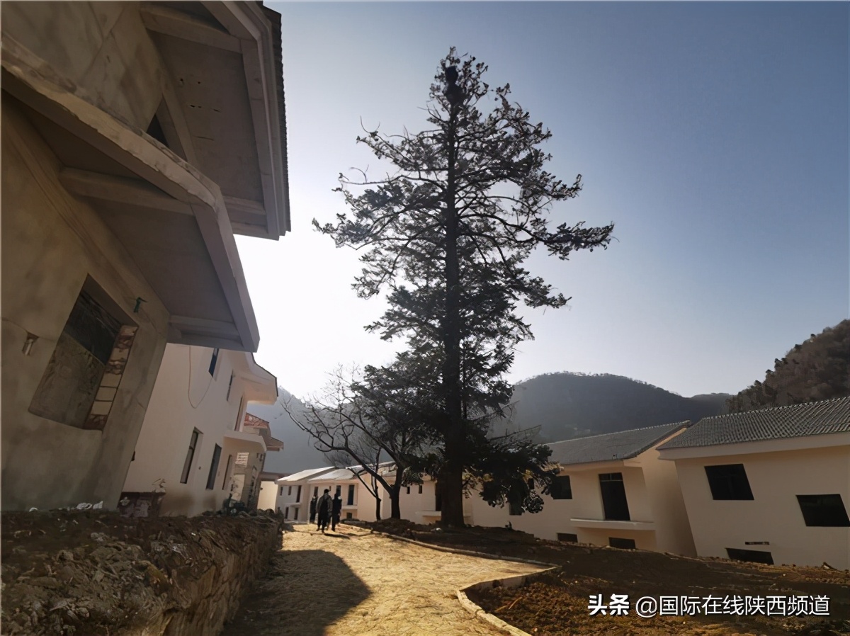 2022年汉中留坝足球基地建设,汉中留坝足球小镇