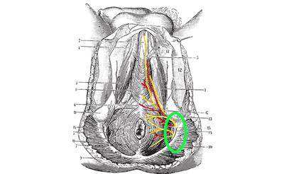 大叔发明汽车节油器,大叔发明拉风车视频