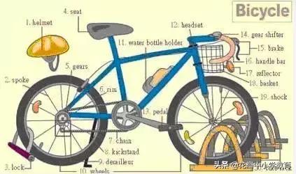 34张图教你记住英语中所有生活用词，一天记一张，一个月搞定