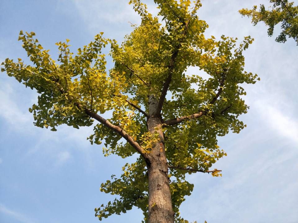 家用监控摄像头位置注意事项,城市监控安装安全注意事项