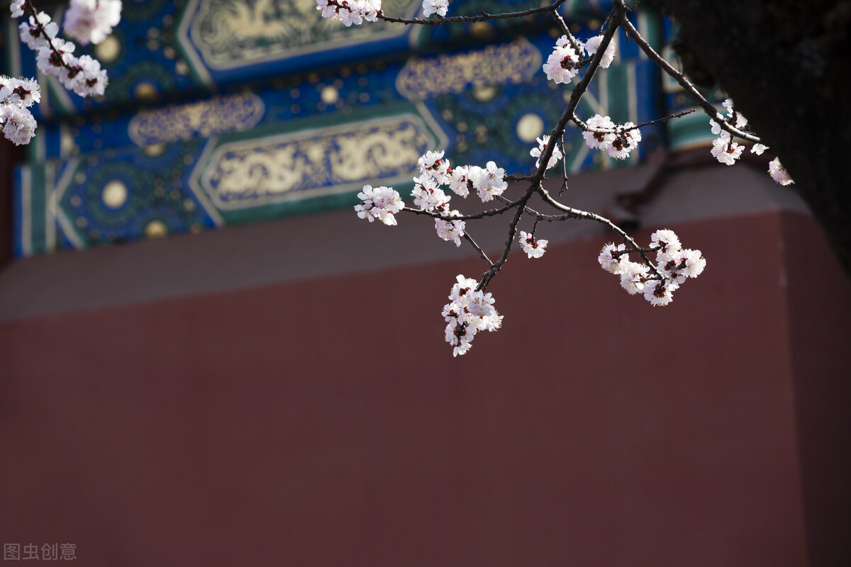 慈禧和丽嫔,慈禧太后怎么处置丽妃