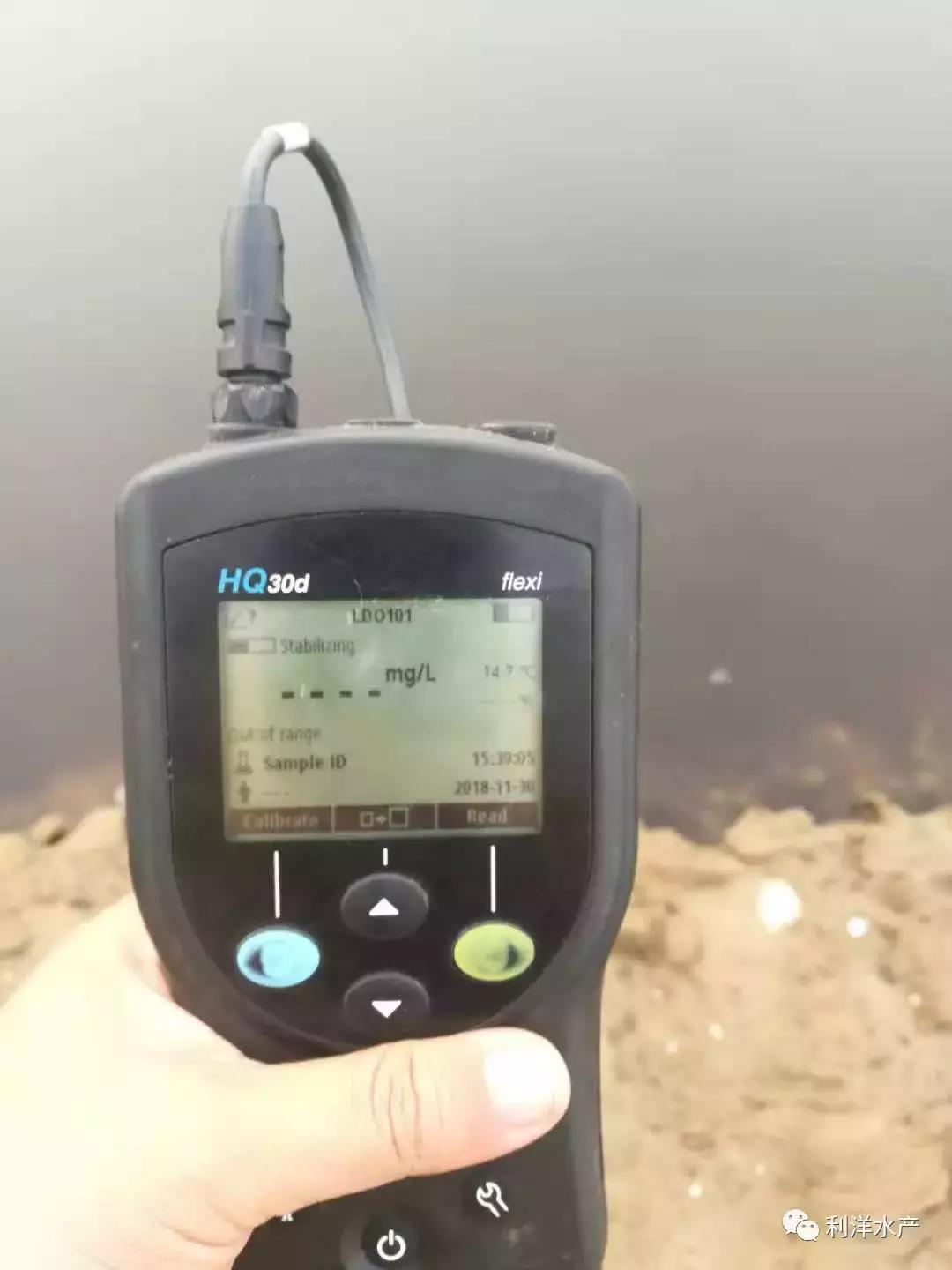 南美白虾和罗非鱼怎么混养,南美白对虾与罗非鱼混养技术