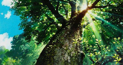 夏至节气文案图片,最新夏至文案朋友圈配图