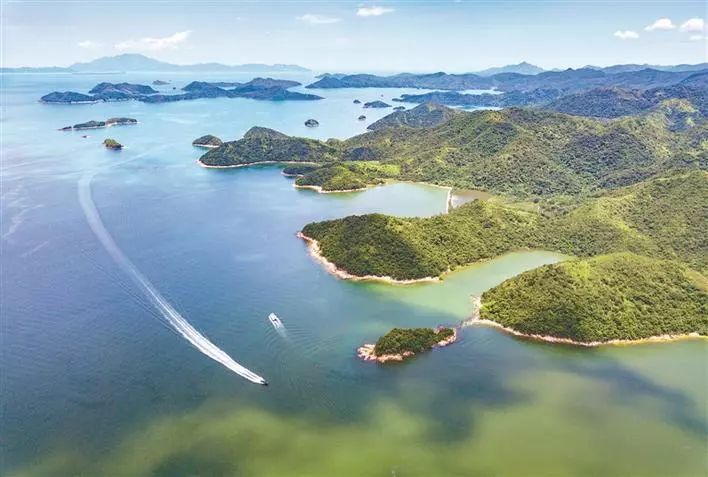 深圳南山、福田有多强？一个是人均GDP超5万美金，一个是撑起深圳两成GDP产出