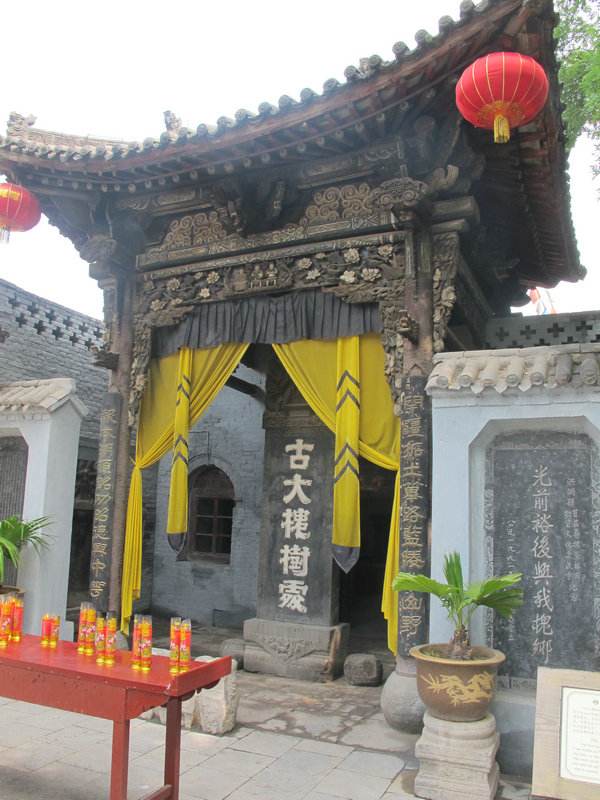 山西老鹳窝大槐树移民,大槐树上的老鹳窝