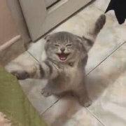 少儿《街舞》?街舞大神王晨艺联和街舞冠军,上演街舞养成计划