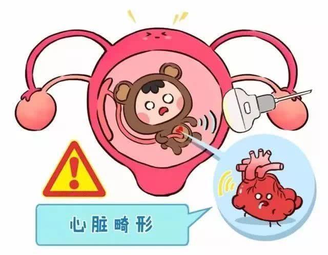 胎儿的大脑发育怎么排查畸形,胎儿有畸形和智力问题能查出来吗