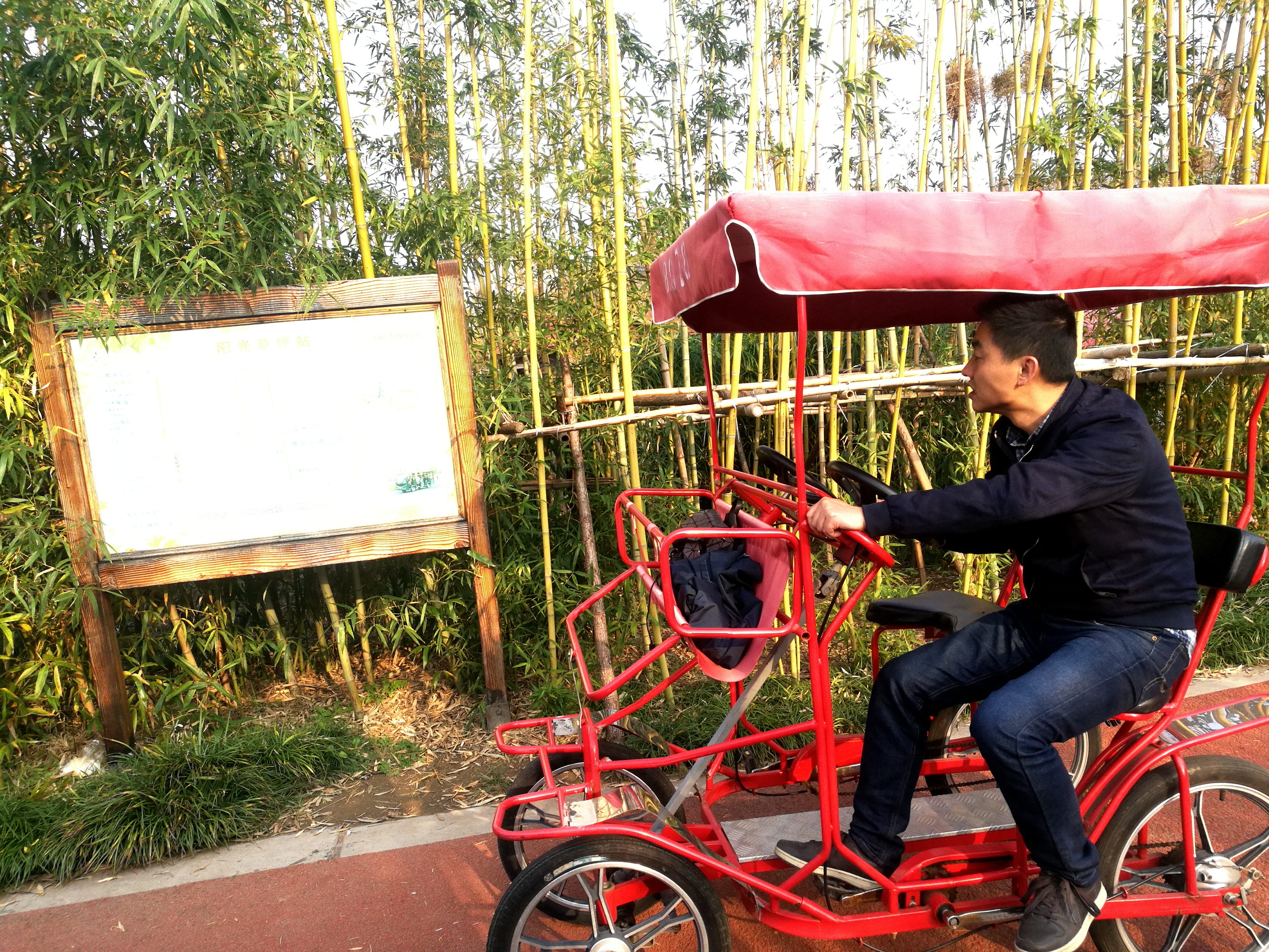 上海长兴岛郊野公园可以看见海吗,长兴岛郊野公园离上海站有几公里