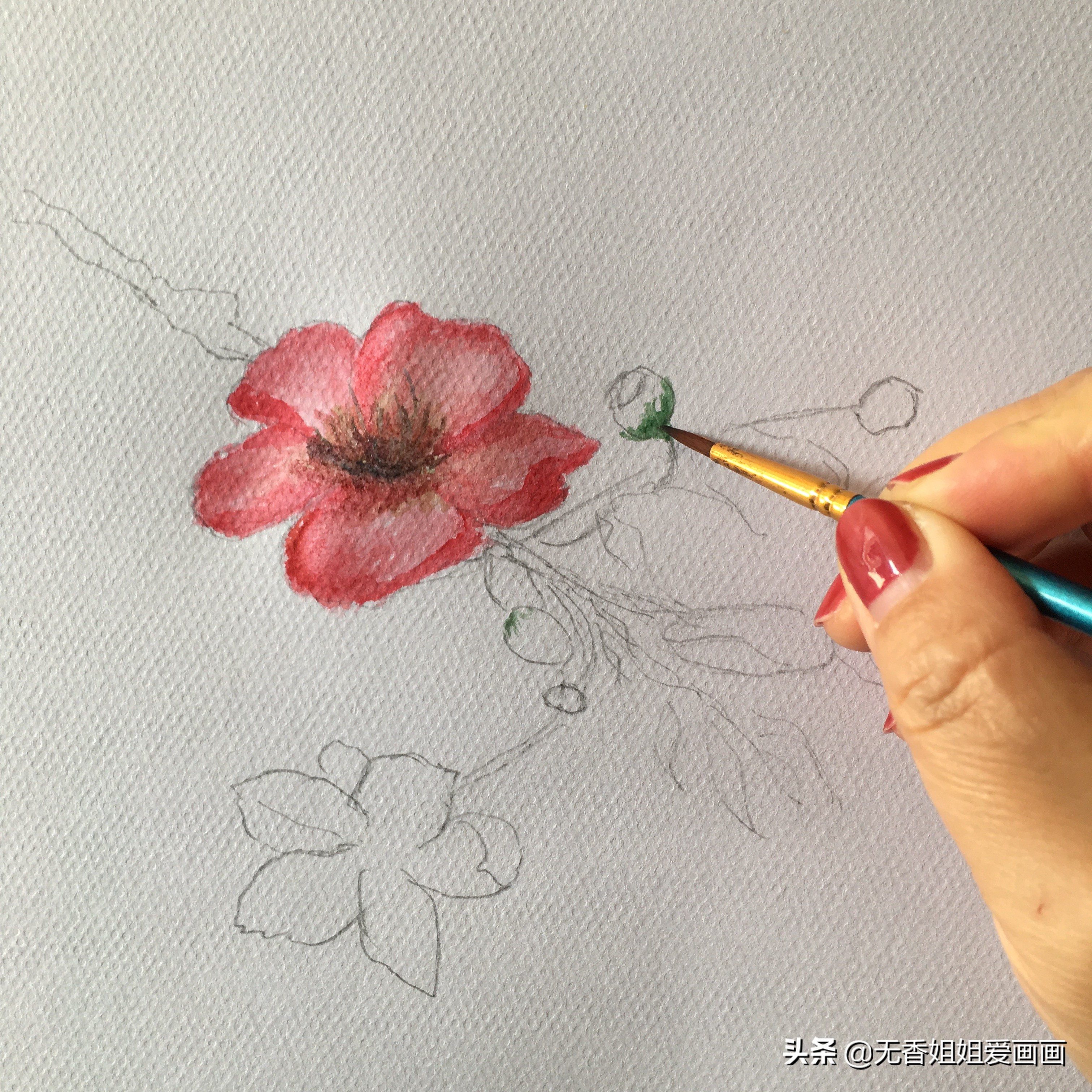 手绘桃花图片小学,马克笔手绘教程桃花