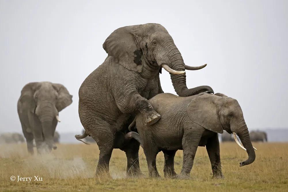 情人节适合干什么事,情人节对方做过最让你感动的事