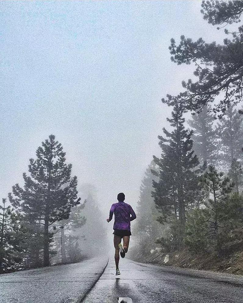 纵有疾风起人生不言弃原文,纵有疾风起人生不言弃莫忘来时路