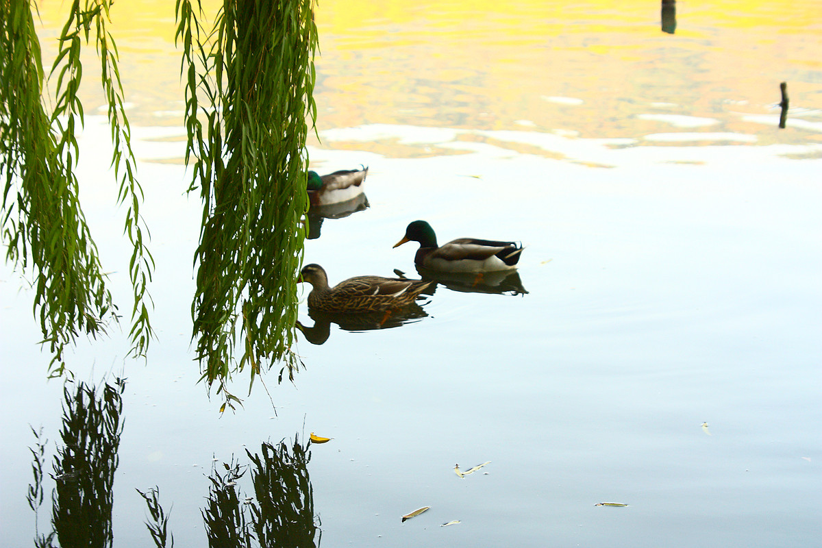“节”后重生,新三板的水暖了?