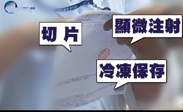 林志玲做试管婴儿做了几次,林志玲有望做试管婴儿吗