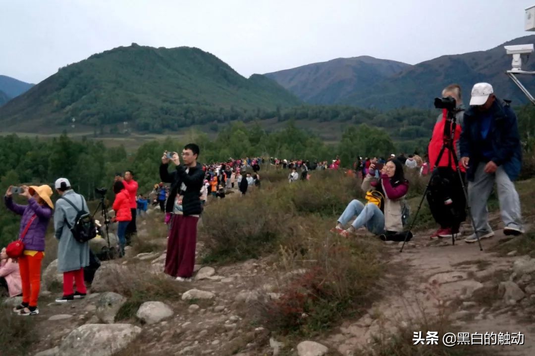 都说新疆好去新疆发展可靠么,都说新疆好地方