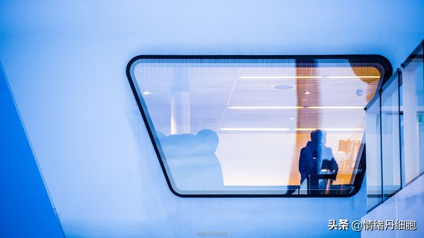 邮轮游选择哪个游轮好,邮轮旅游全攻略公主号