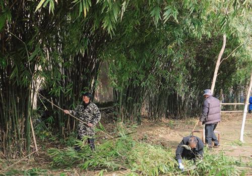 荆州城南公园规划在哪个地方,2022荆州正在规划新建公园