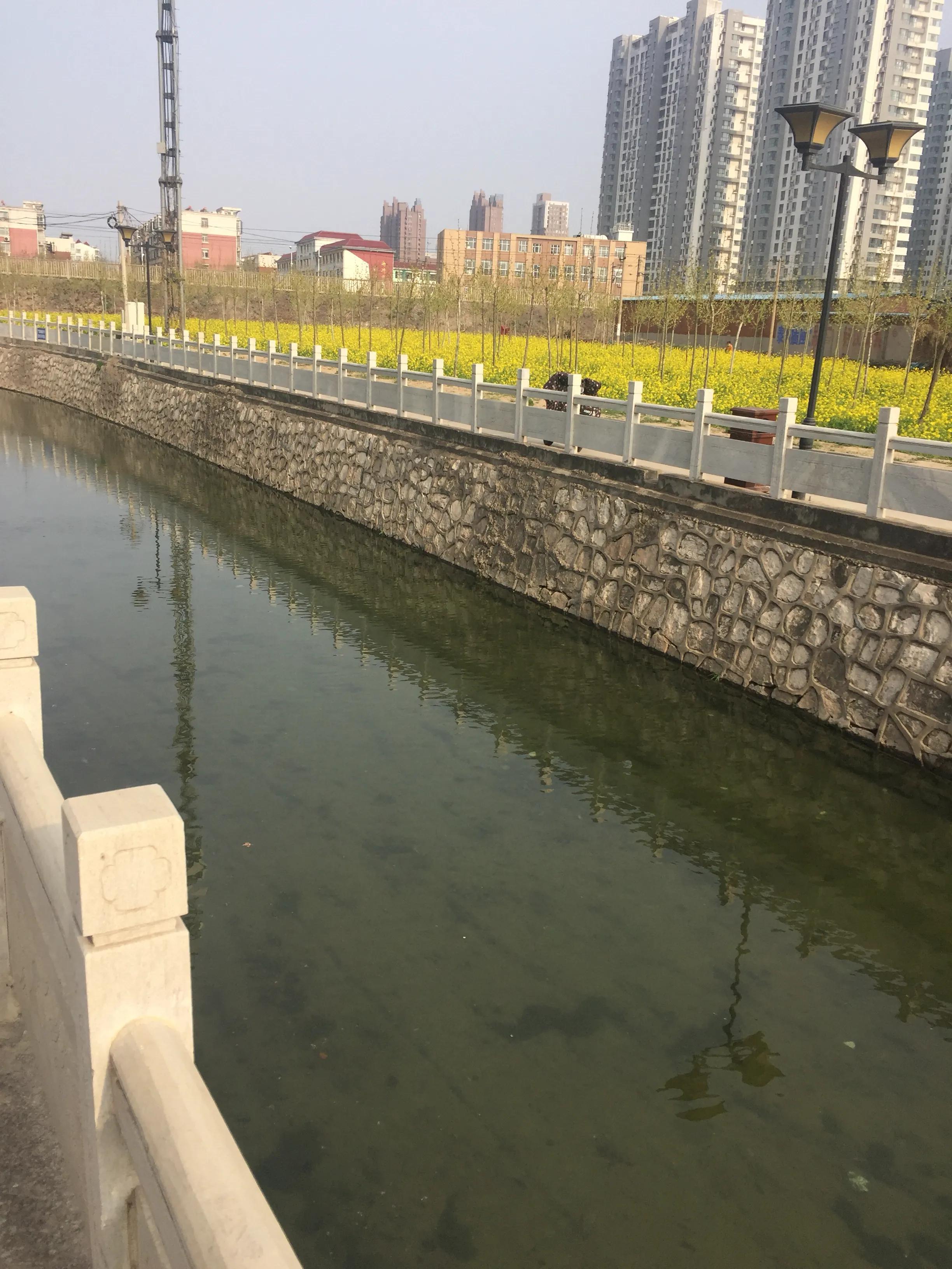 治疗鼻炎的中成药鼻炎三天断根,治疗鼻炎的药吃多久有效