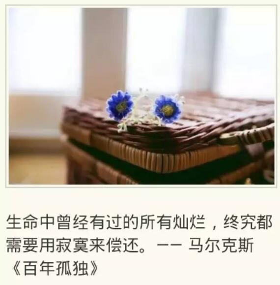 《百年孤独》书笔记摘抄及感悟,百年孤独这本书解说