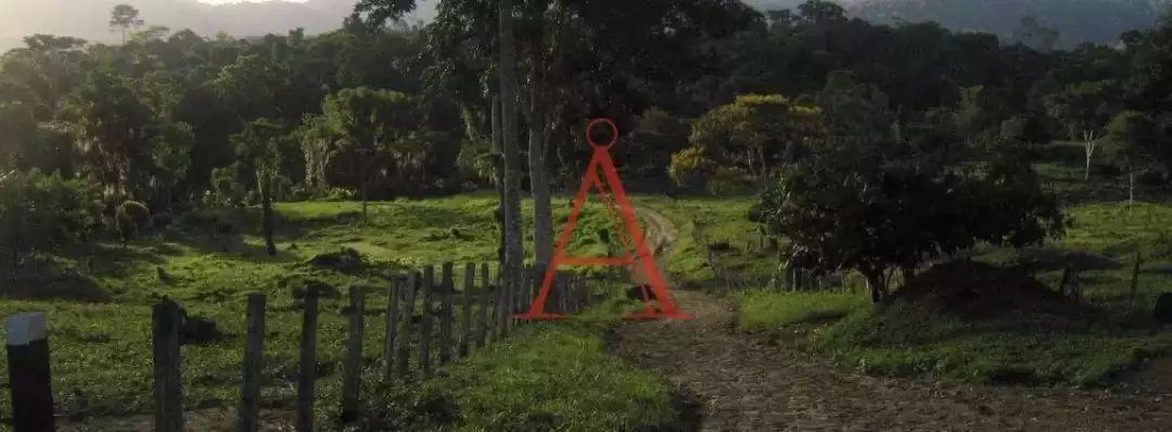 国内最不可缺的零食,国内大量零食