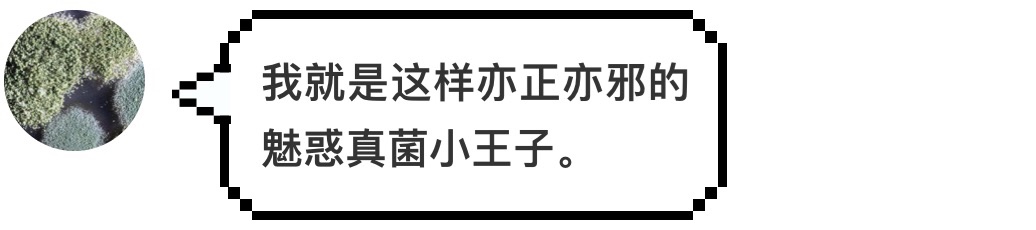 汉堡王又碰瓷麦当劳了，这次用的是发霉的汉堡