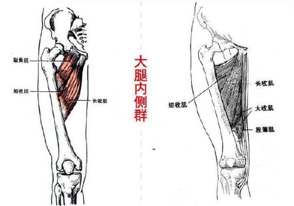 减肥大腿根内侧赘肉的最快方法,大腿内侧和外侧肉肉怎么瘦