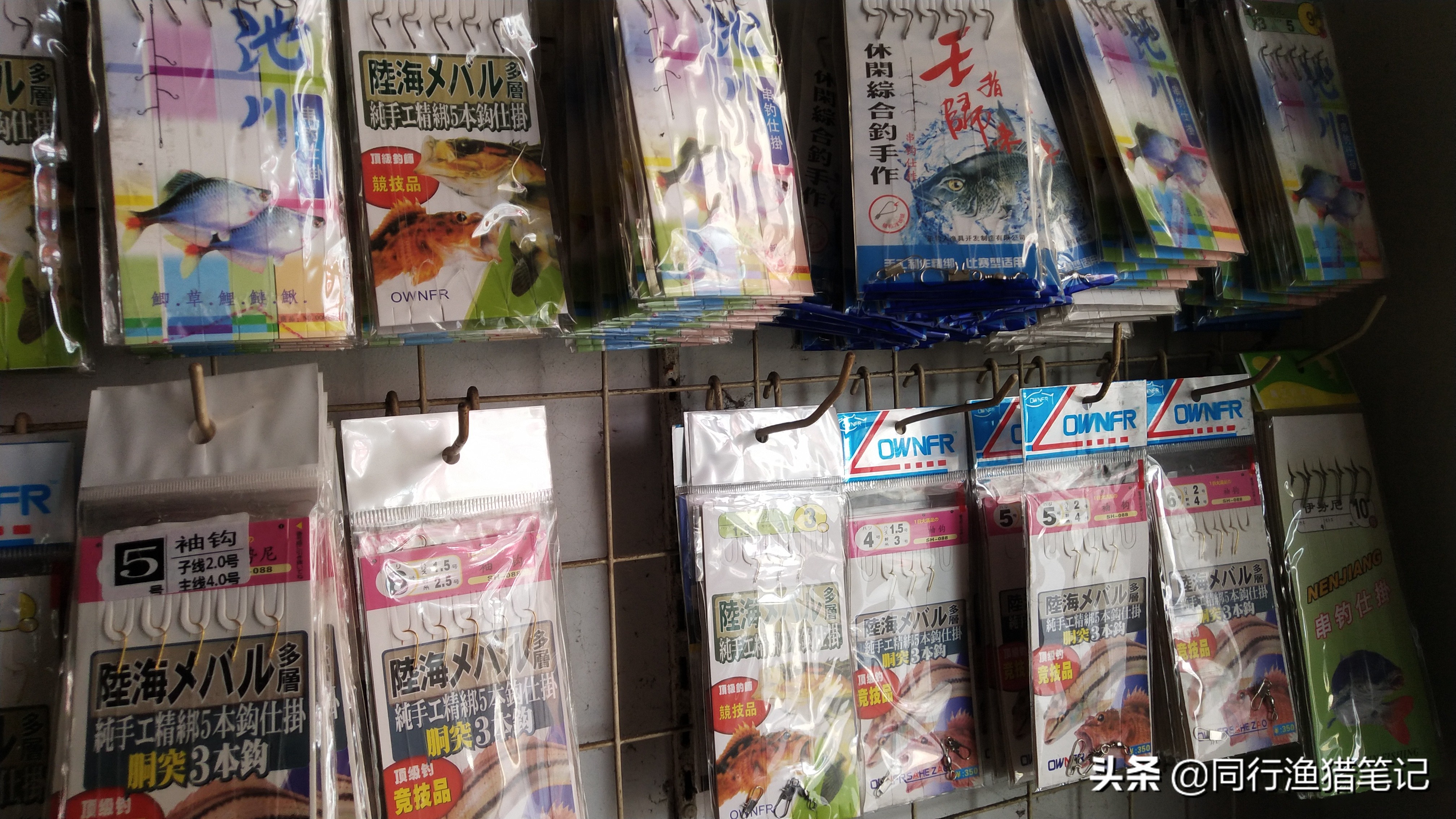 手竿串钩钓白条的正确使用方法,手竿串钩钓黄辣丁的最佳方法