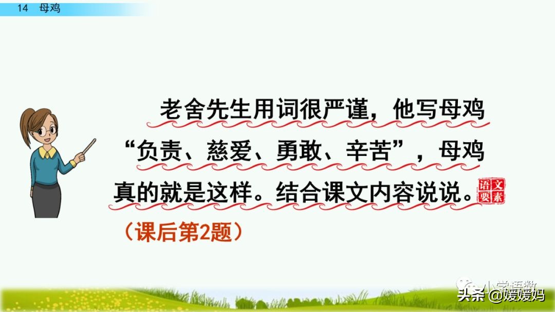 四年级下册第13课小练笔仿写母鸡,四年级下册14课母鸡的预习完整版