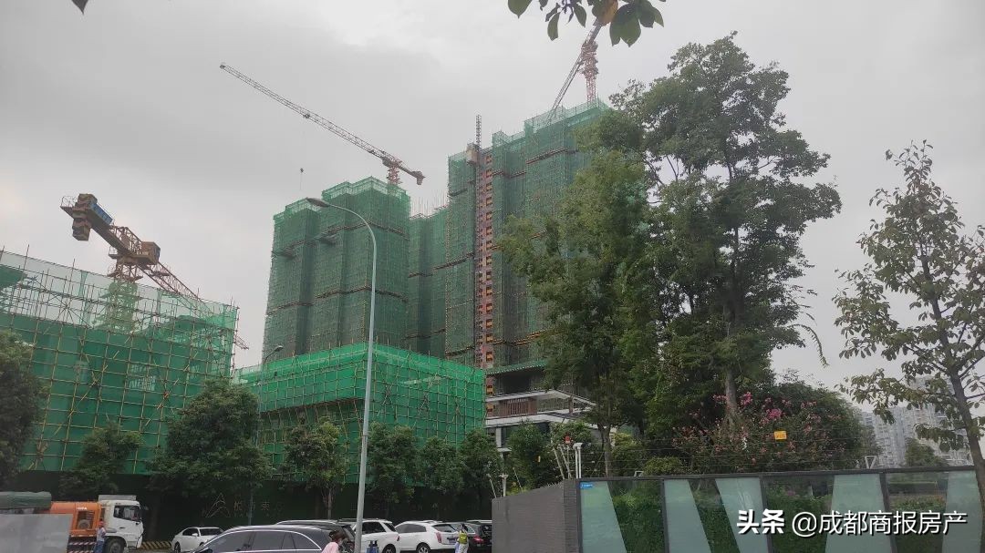 高新区房价天花板,高新区的最高房价是多少钱一平