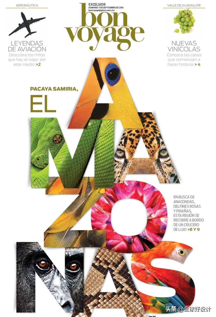 报纸设计方案,美食报纸版面设计