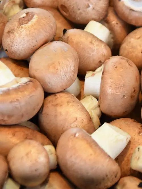 食欲变差怎么调理,食欲变差没胃口