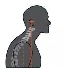 为什么富贵包变夺命包,富贵包是夺命包吗