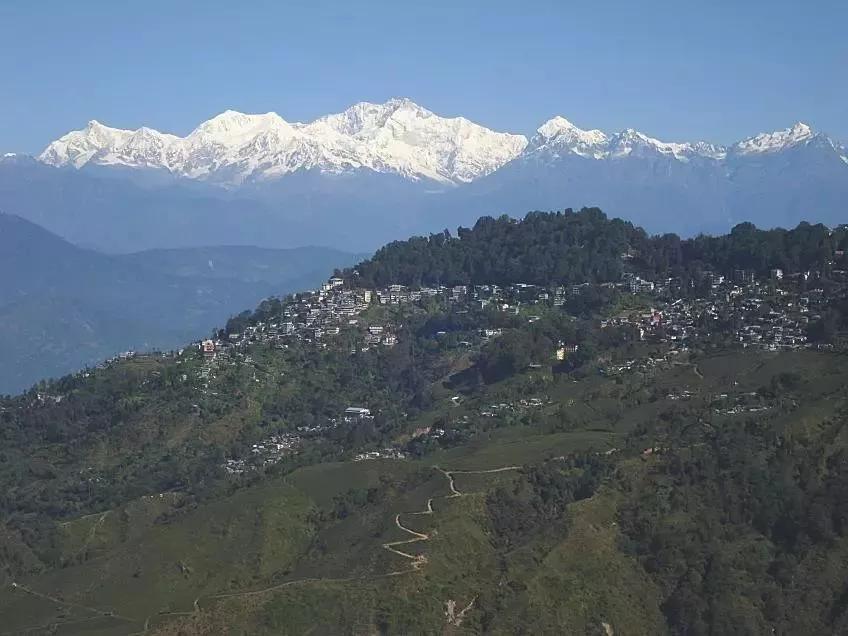 如火如荼|红茶界的F4，来啦