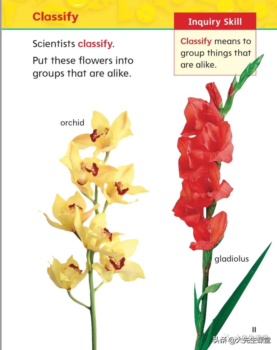 鍔犲窞science绉戝鏁欐潗,鍔犲窞绉戝science鏁欐潗