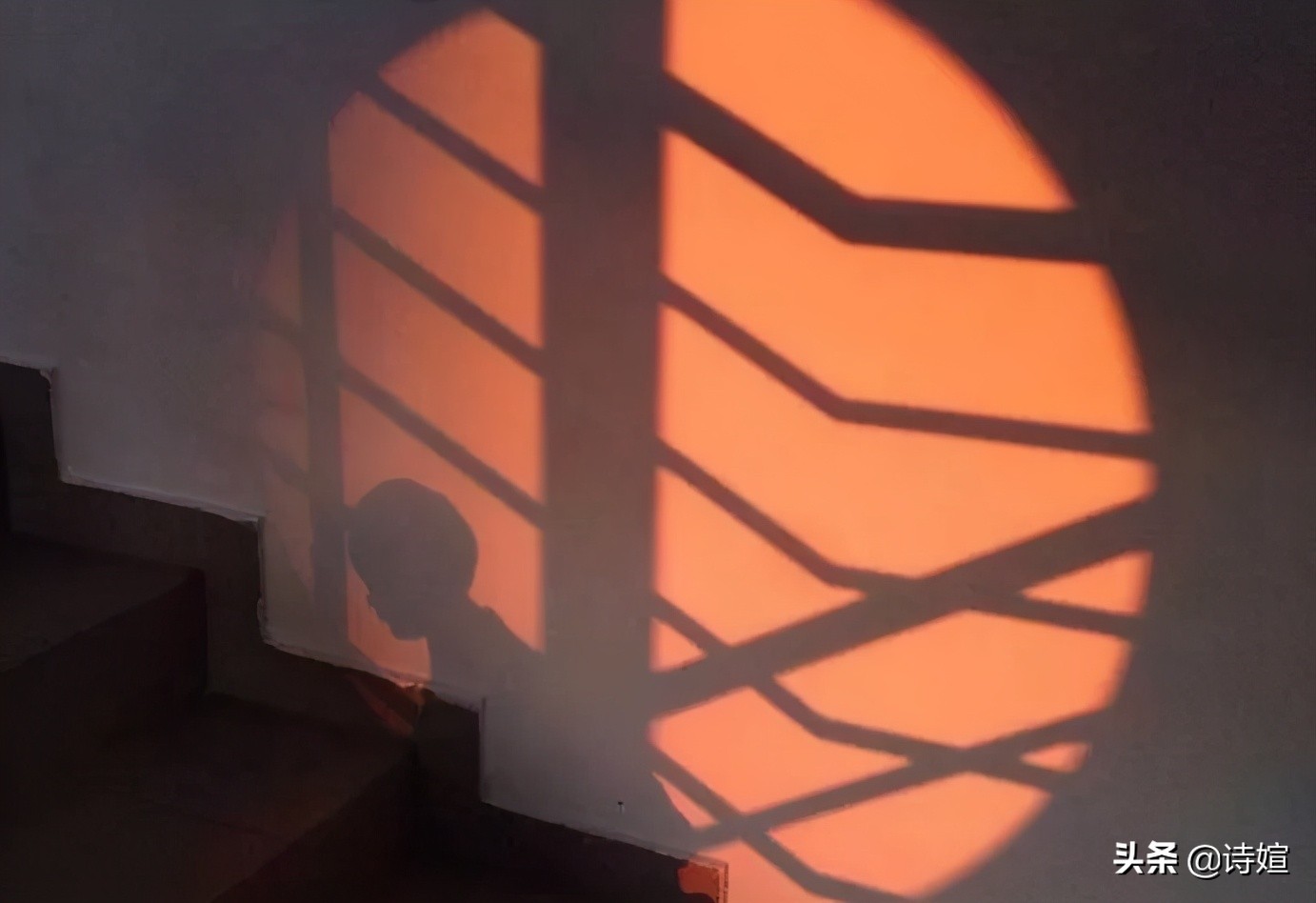 阿楚|眷恋的年华，却只是短暂狂欢