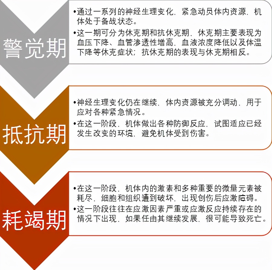 为什么猫狗会有尴尬期,猫狗相遇为啥互相都吓得要死