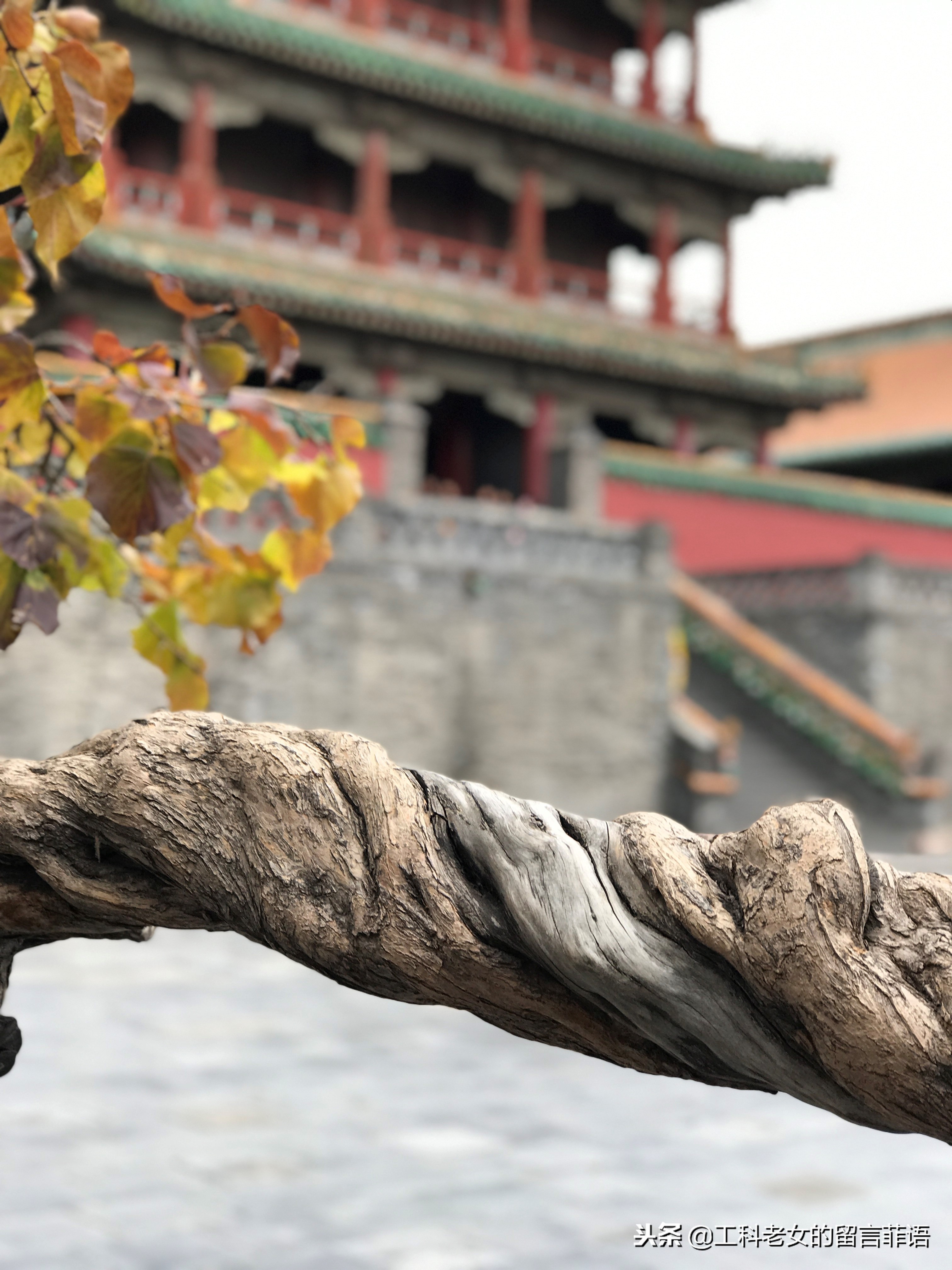 沈阳故宫具有浓厚的满族特色,沈阳故宫人气爆表