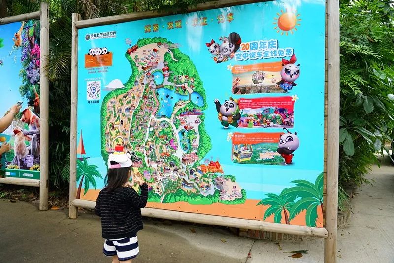 广州旅游攻略长隆动物世界,亲子游广州长隆动物园