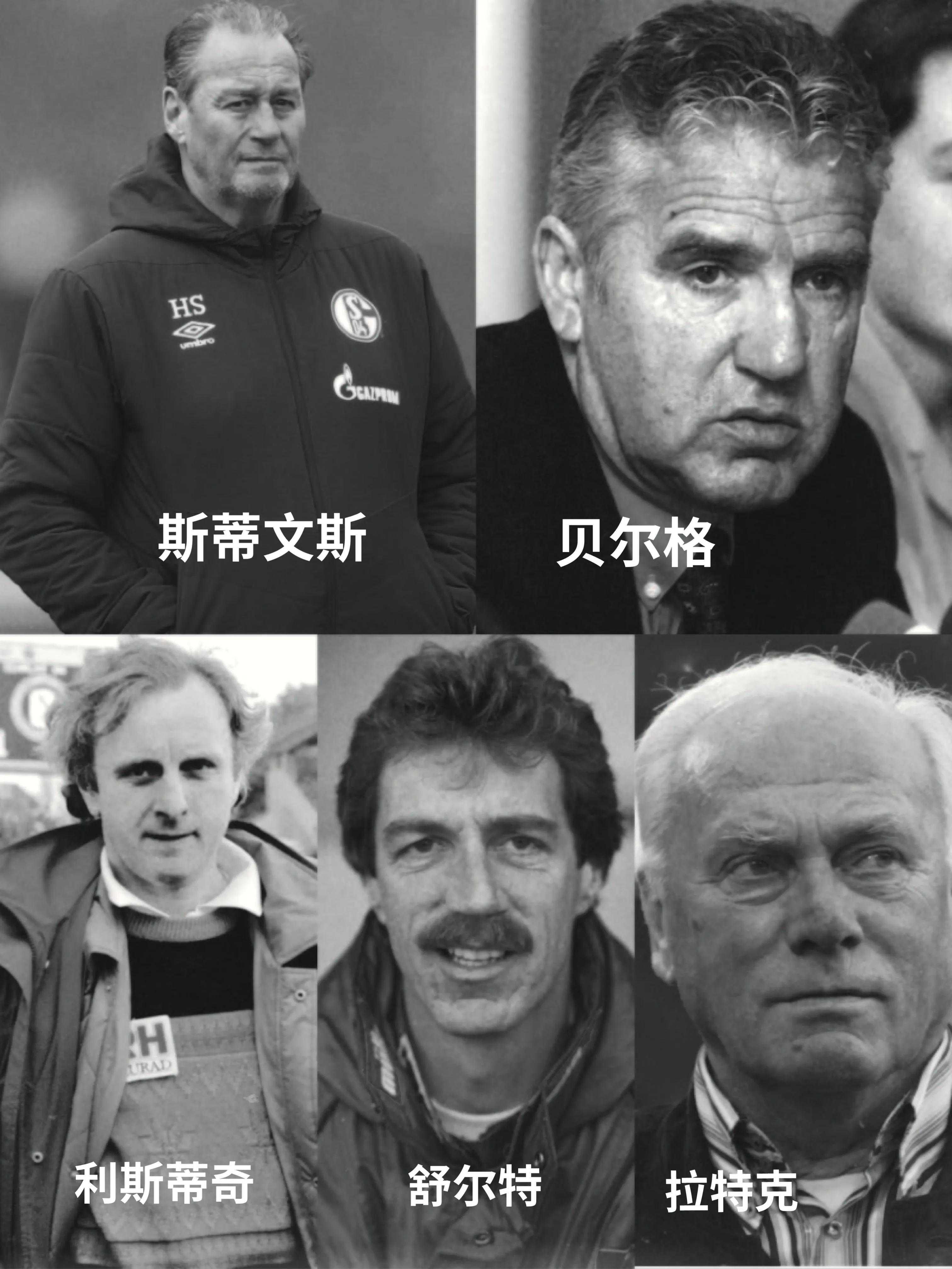 失落沙洲讲的是什么故事,失落沙洲唱哭路人