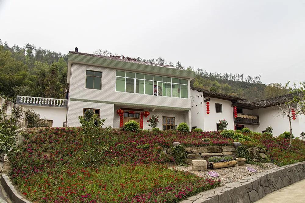 【谁不说咱家乡美】美丽中国，“乡”约万安（河西片）