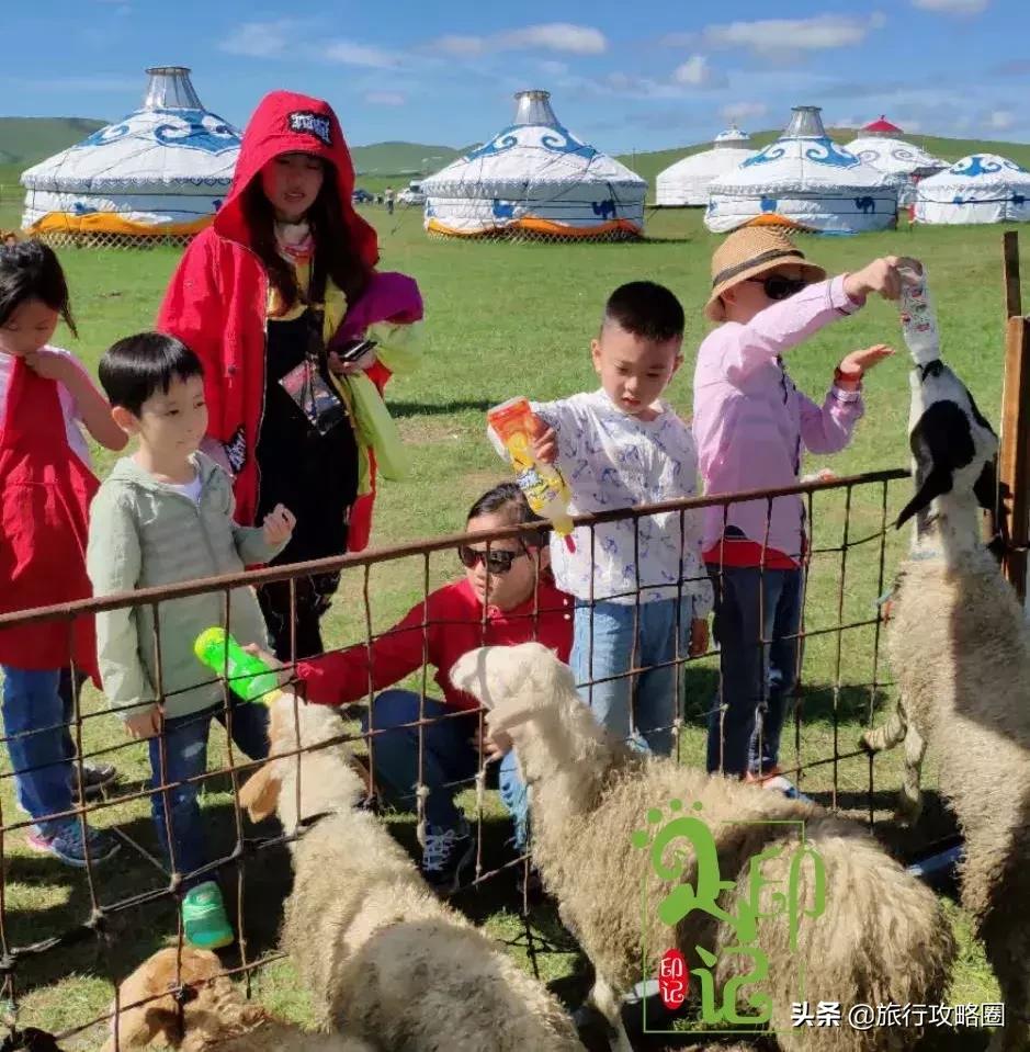 呼伦贝尔亲子游十天怎样玩,呼伦贝尔大草原亲子游