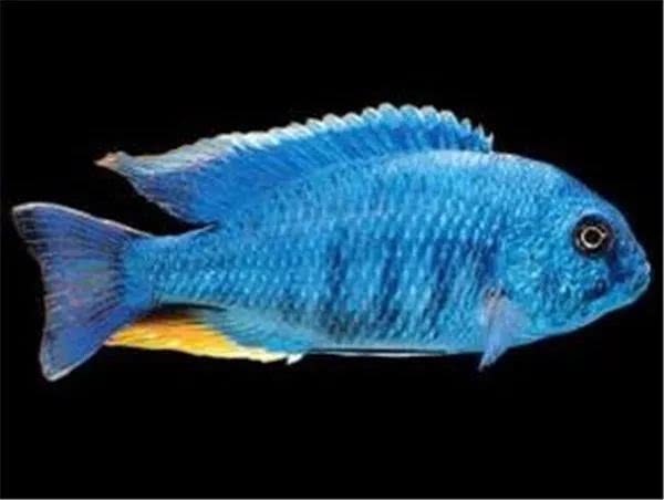 闈炴床鎱堥卜,闈炴床鎱堥卜浠嬬粛