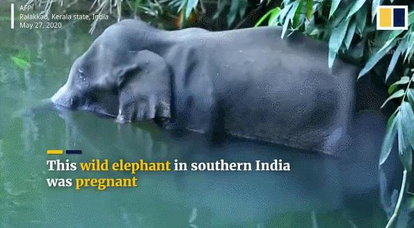 15岁怀孕,她被骗吃下*药炸**,一尸两命:有些人,这辈子不配为人