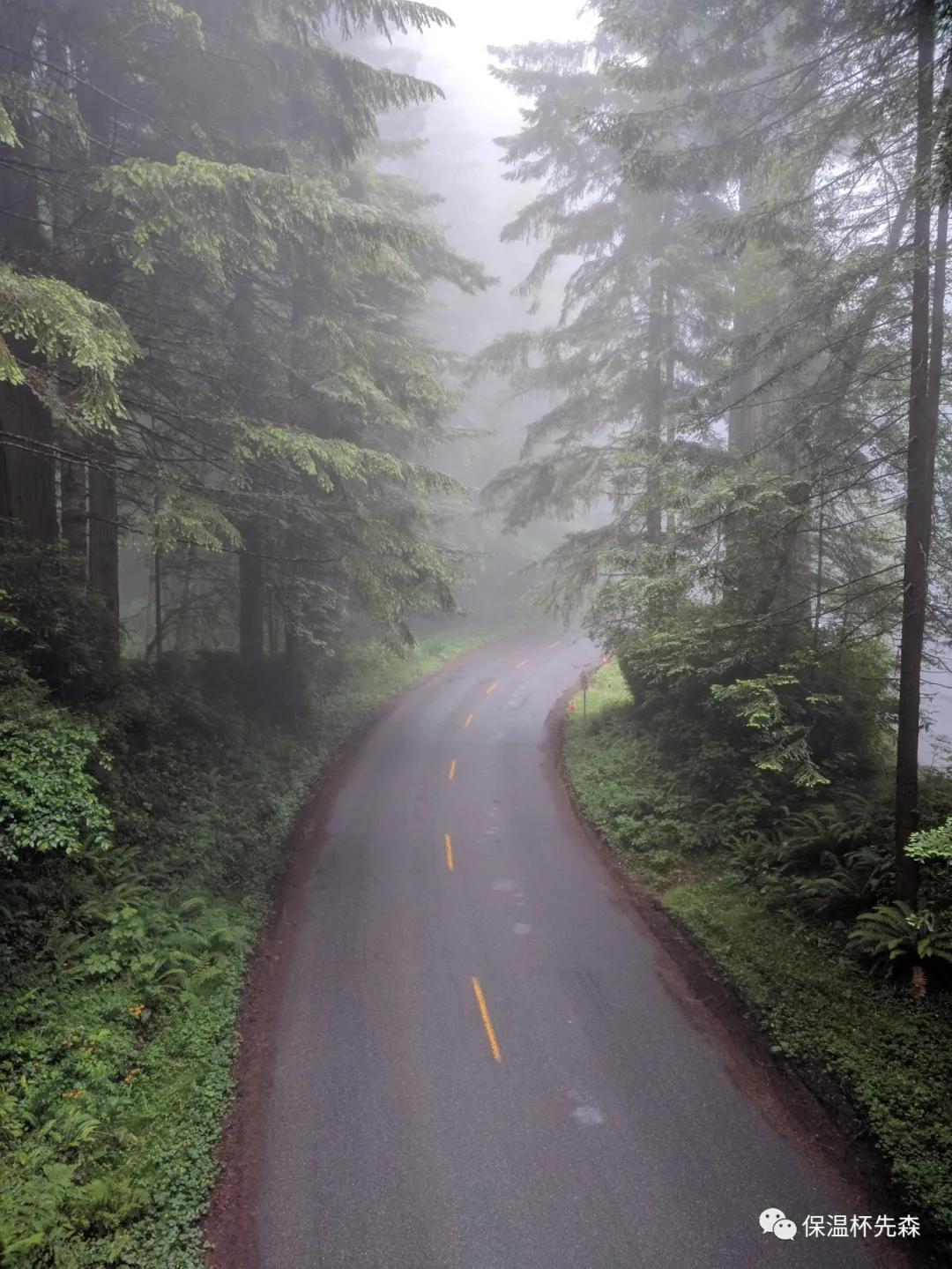 北上广深的现实,北上广深永远不可能被超过吗