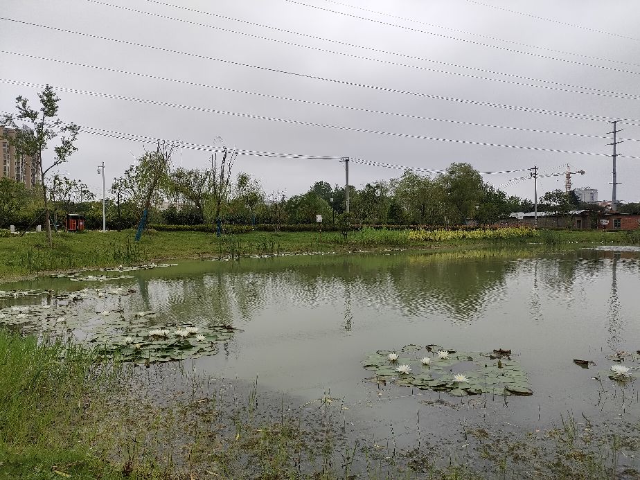 合肥撮街pk贡街,合肥贡街美食一条街