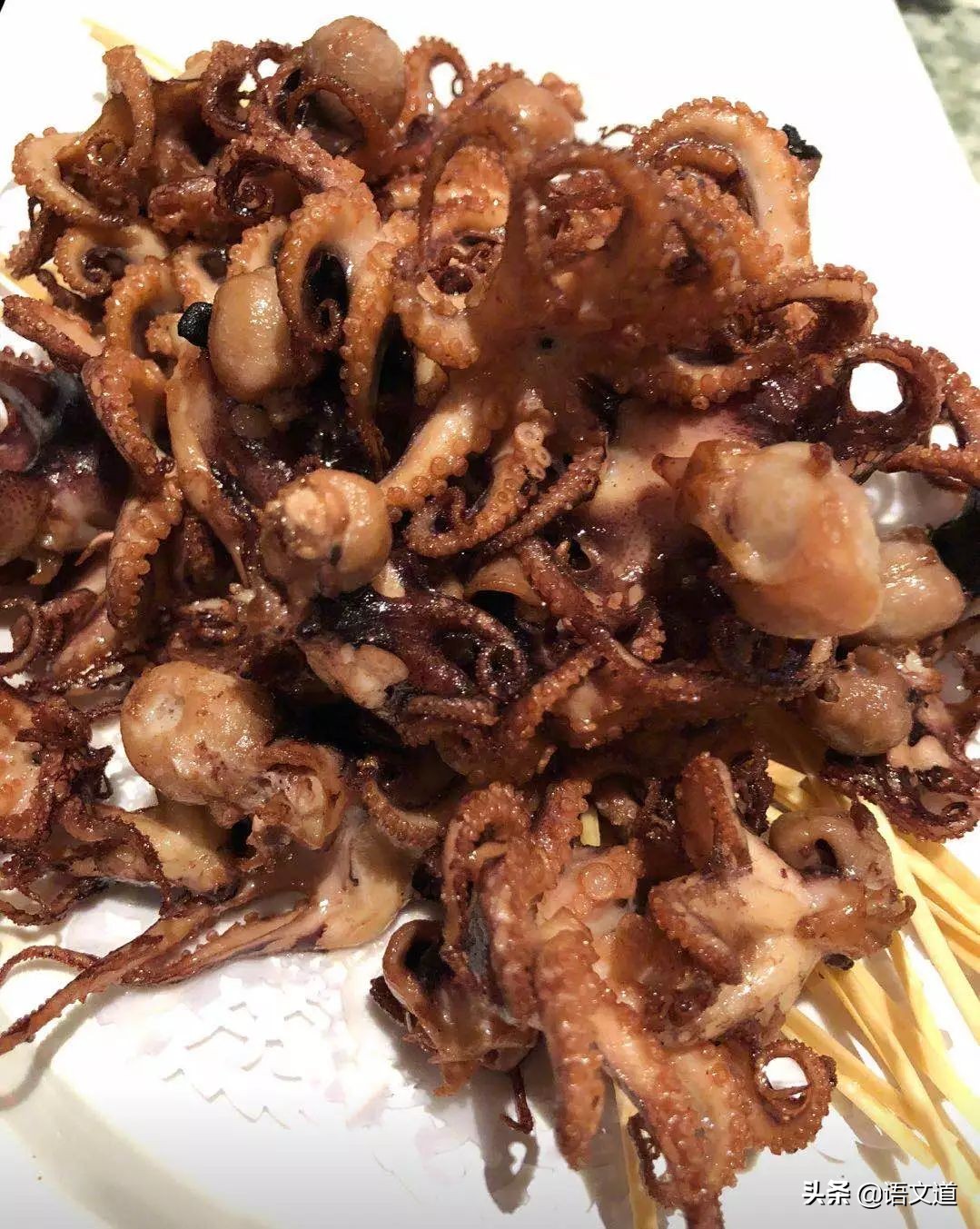 辽宁省大连市算不算东北人,大连有几个东北人