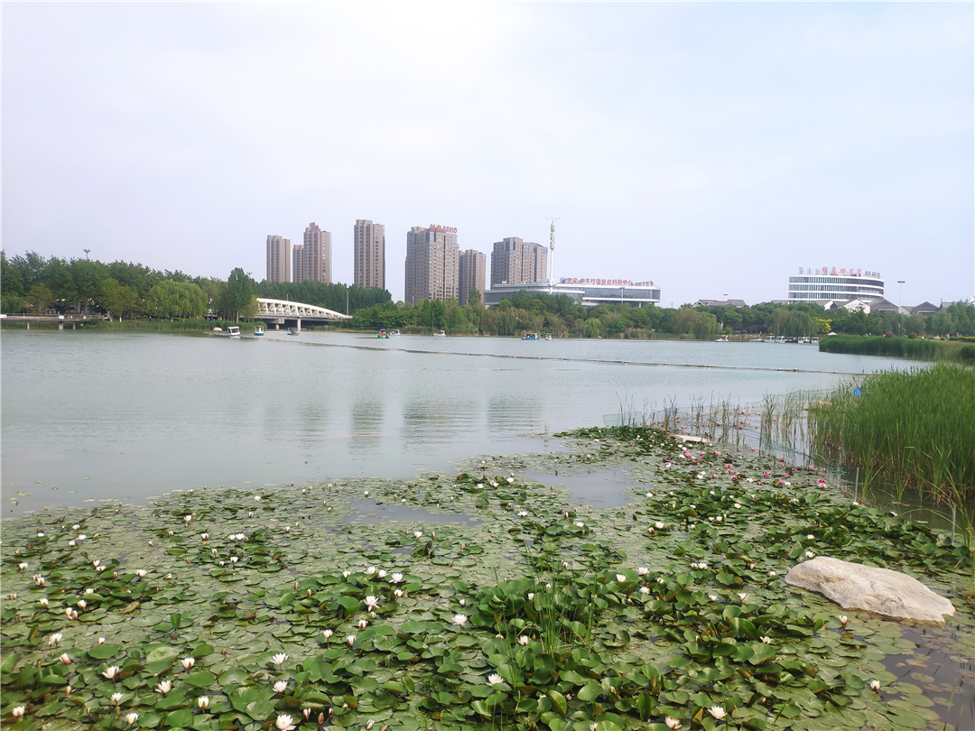 济宁244分与278分的大讨论，其实是南北城之间的博弈