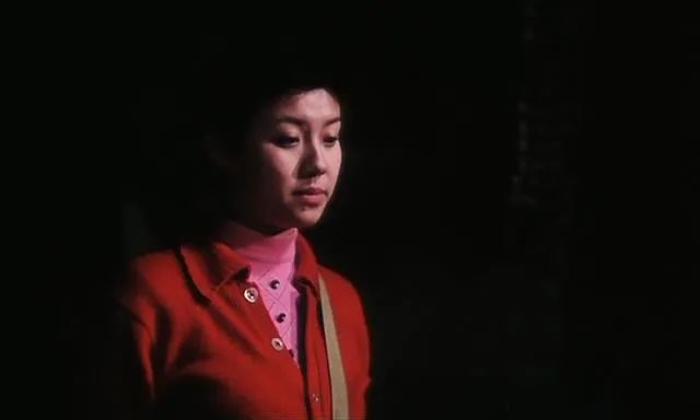 李冰冰警察电影老片子,李冰冰国产电影