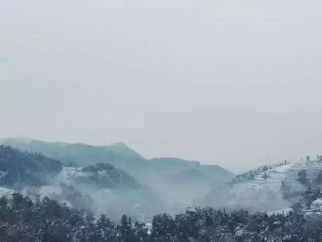 杭州不足山宿：清风中我徐徐相迎，愿你往来是归客